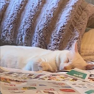 Meet your Posher, Bryan